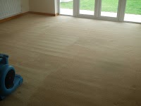 MD Carpet and Upholstery Cleaning 352610 Image 5